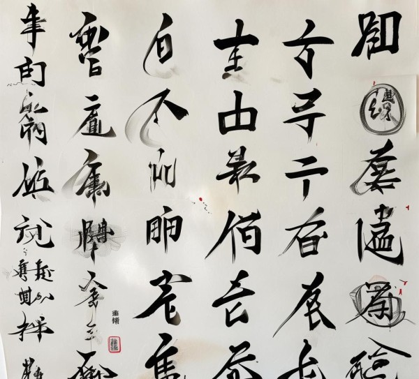 硬笔行书佳作集锦，一等奖硬笔行书作品赏析