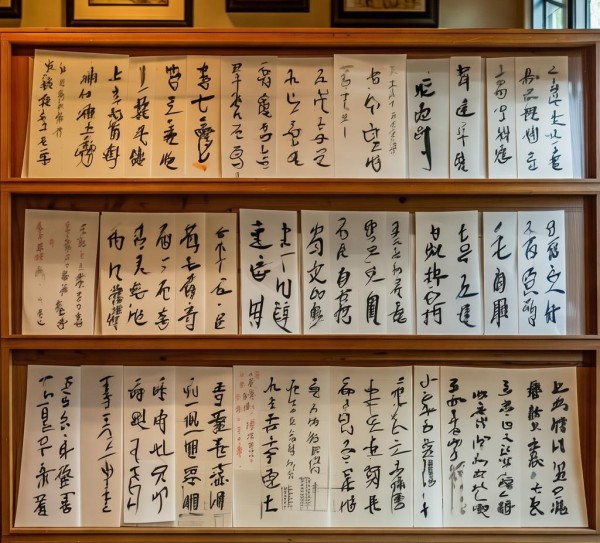 校园生活印记，硬笔书法作品集